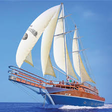 Crociera in barca con cena romantica in Sharm El Sheikh